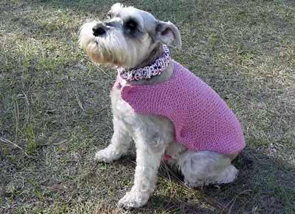 Dog Clothes Patterns - Helping People Knit - Knitting Design